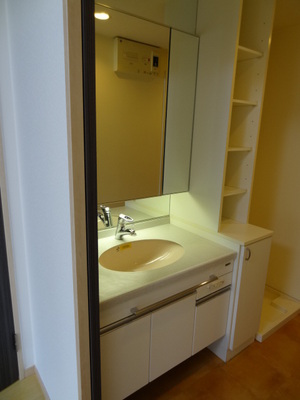 Washroom. Wash basin