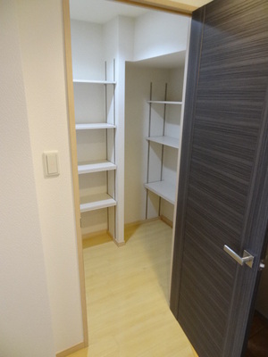 Entrance. Shoes IN closet