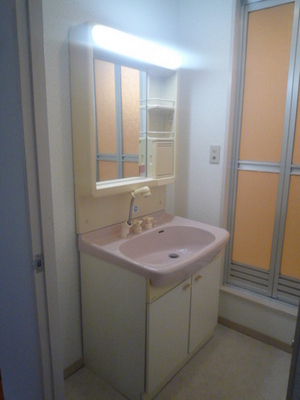 Washroom. Wash basin