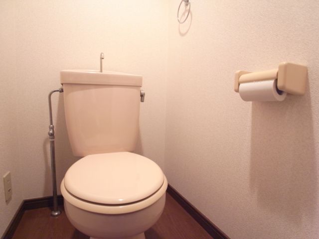 Toilet. Toilet