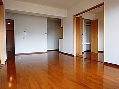 Living and room. Living