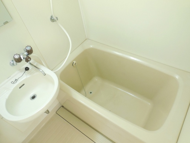 Bath. Beautiful bathroom