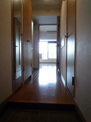 Entrance. Entrance hall