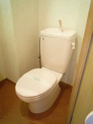 Toilet. Toilet