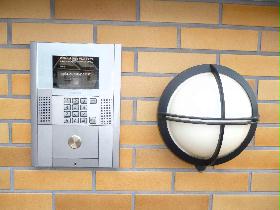 Other. Auto-lock gate