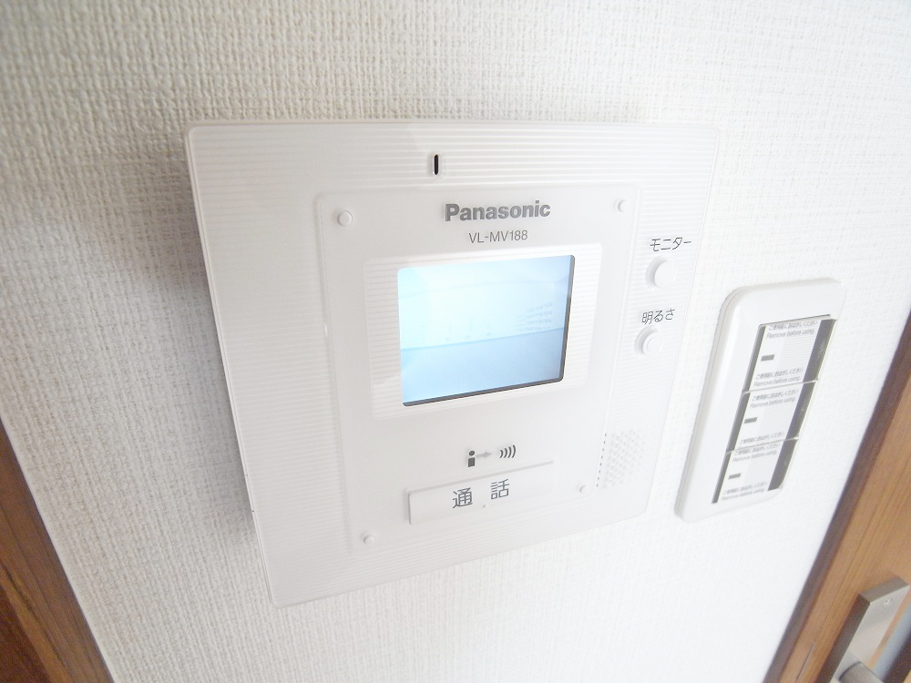 Security. TV monitor phone