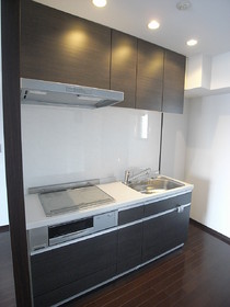 Kitchen. System kitchen of 3-neck with stove of IH