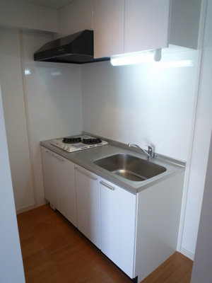 Kitchen. System kitchen