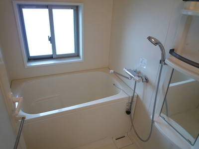 Living and room. Bathroom