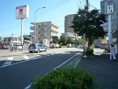 Building appearance. Peripheral