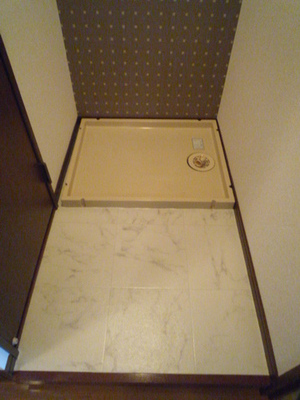 Washroom. Washing machine in the room