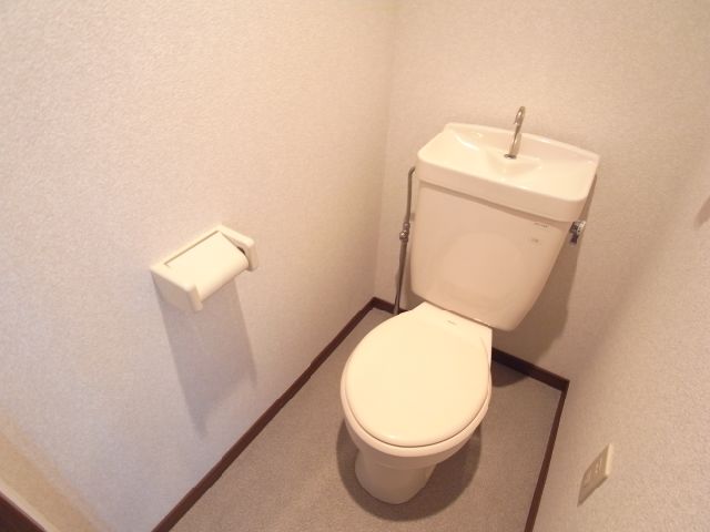 Toilet. Toilet