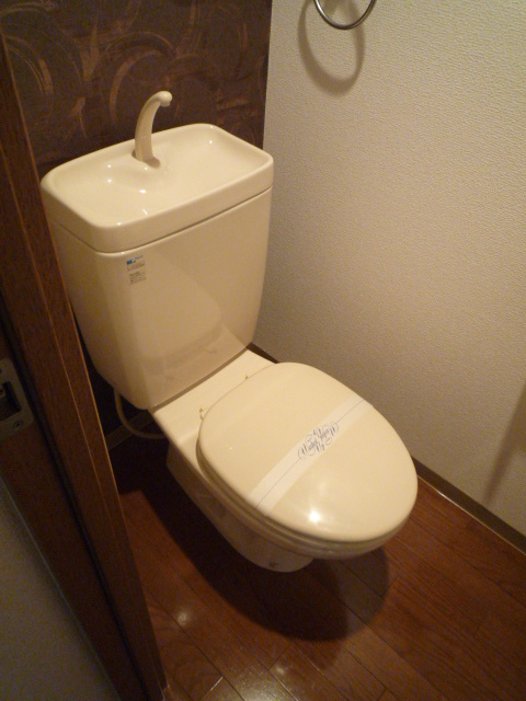 Other room space. Toilet