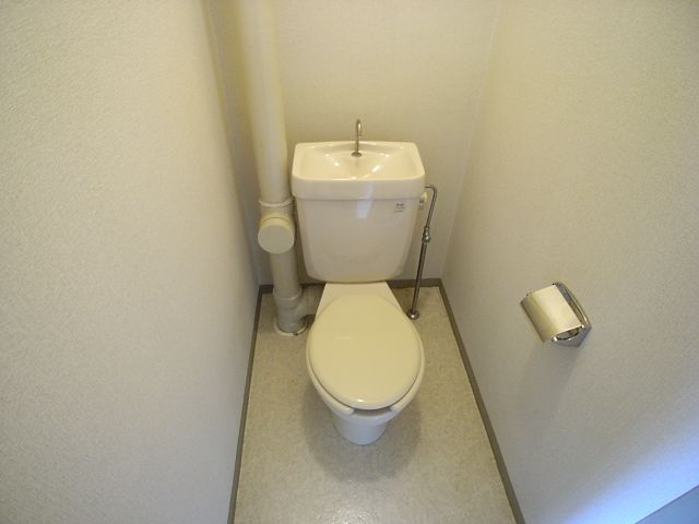 Toilet. Toilet
