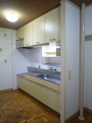 Kitchen. Kitchen