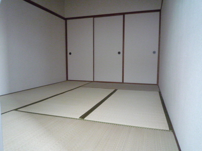 Living and room. Japanese style room
