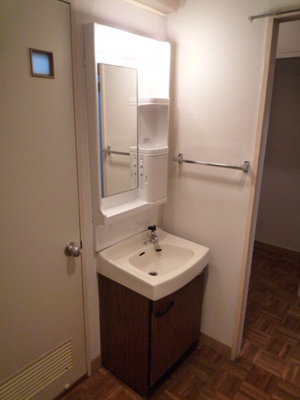 Washroom. Wash basin