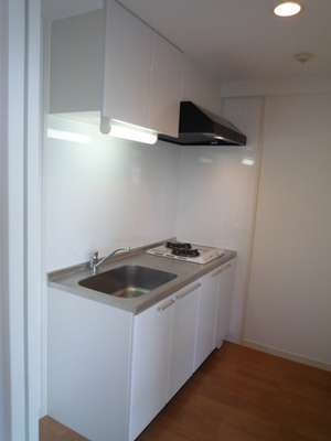 Kitchen. System kitchen