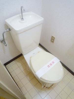 Toilet. Toilet
