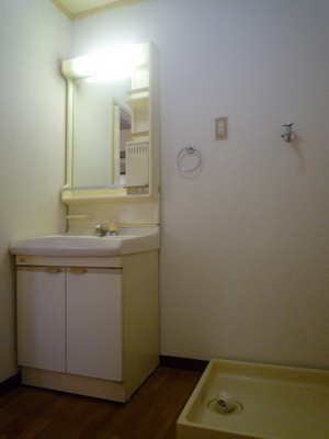 Washroom. Wash basin