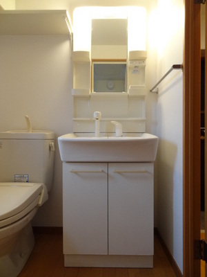 Washroom. Wash basin