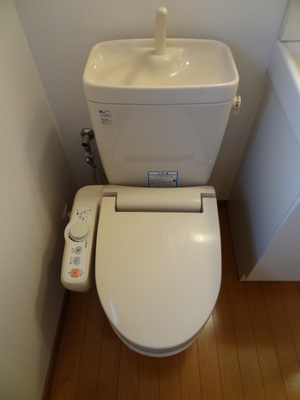 Toilet. Toilet