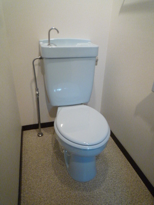 Toilet. Toilet