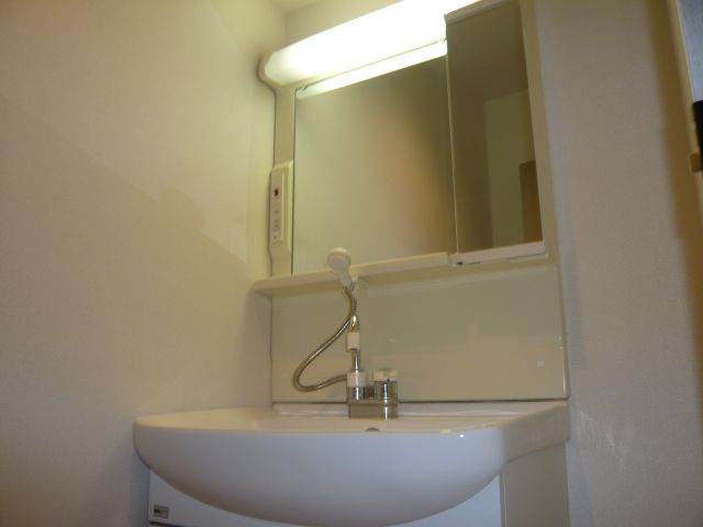 Washroom. Shampoo dresser