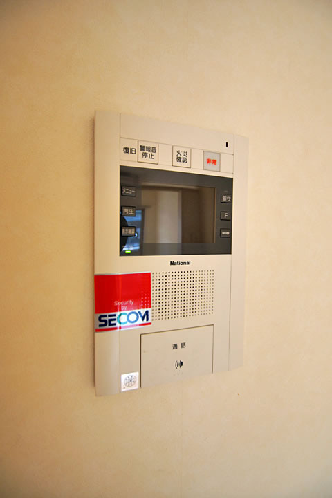 Security. TV monitor phone