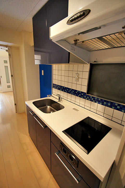 Kitchen. System kitchen