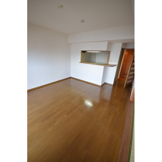 Living and room. Living