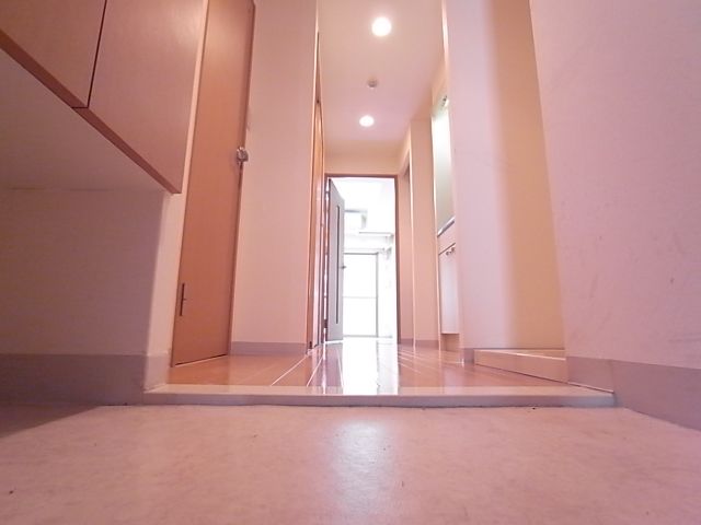 Entrance. Spacious entrance. Peace of mind can come friends to play.