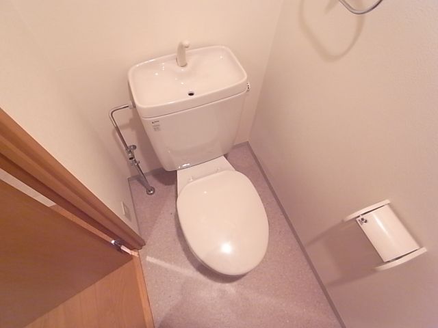 Toilet. Toilet with cleanliness.