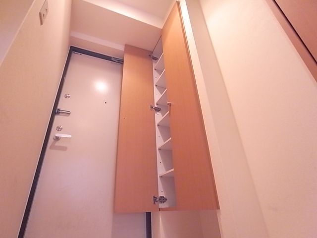 Entrance. With a large shoe box. It can store plenty.