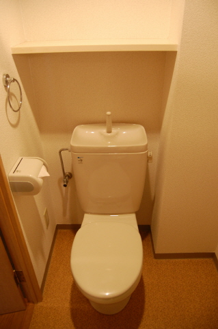 Toilet. With shelf