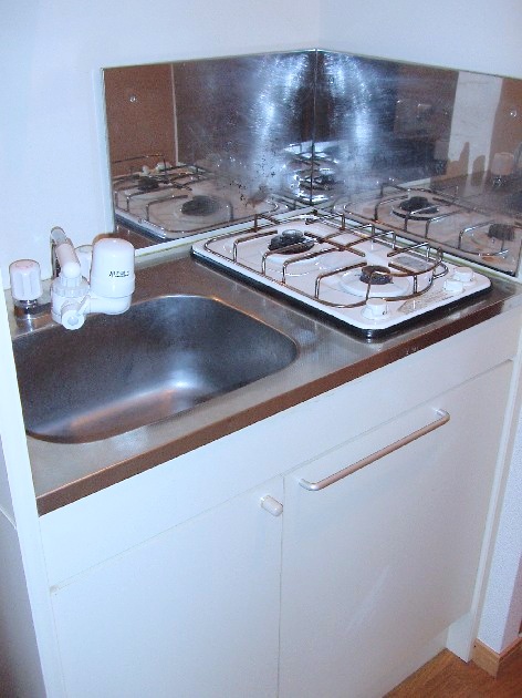 Kitchen. Gas stove 2-neck