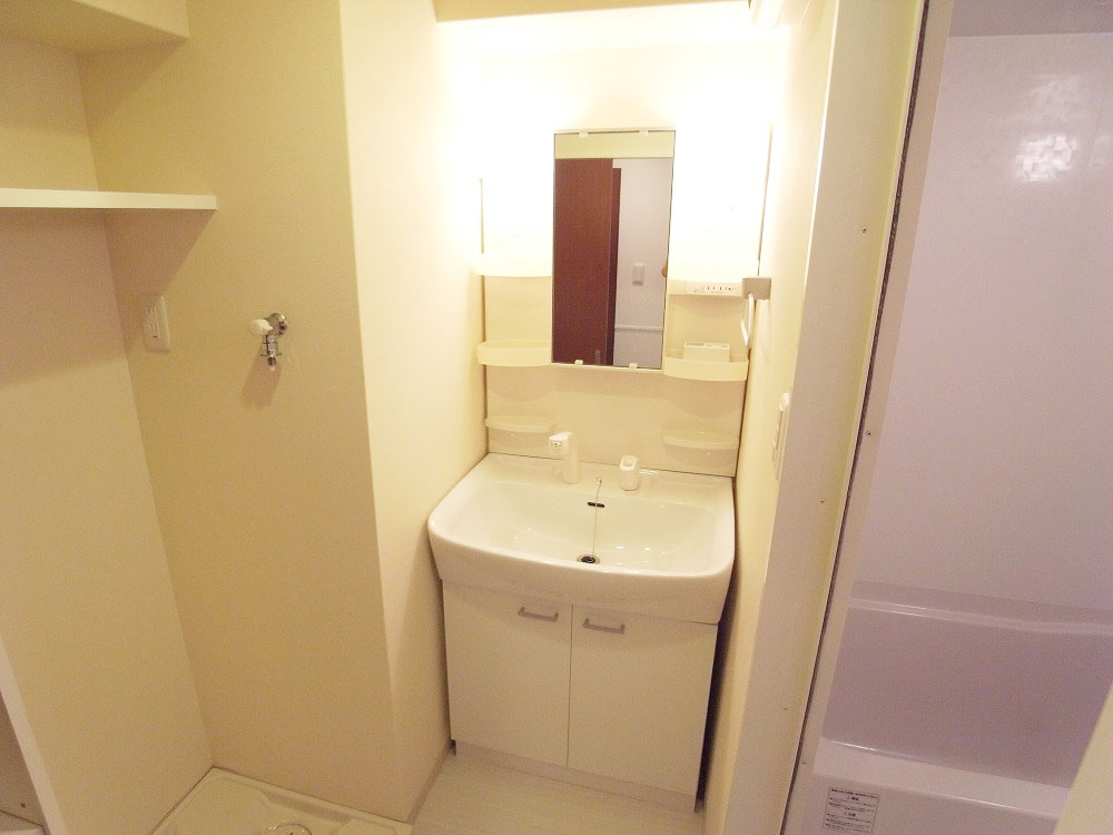 Washroom. Shampoo dresser