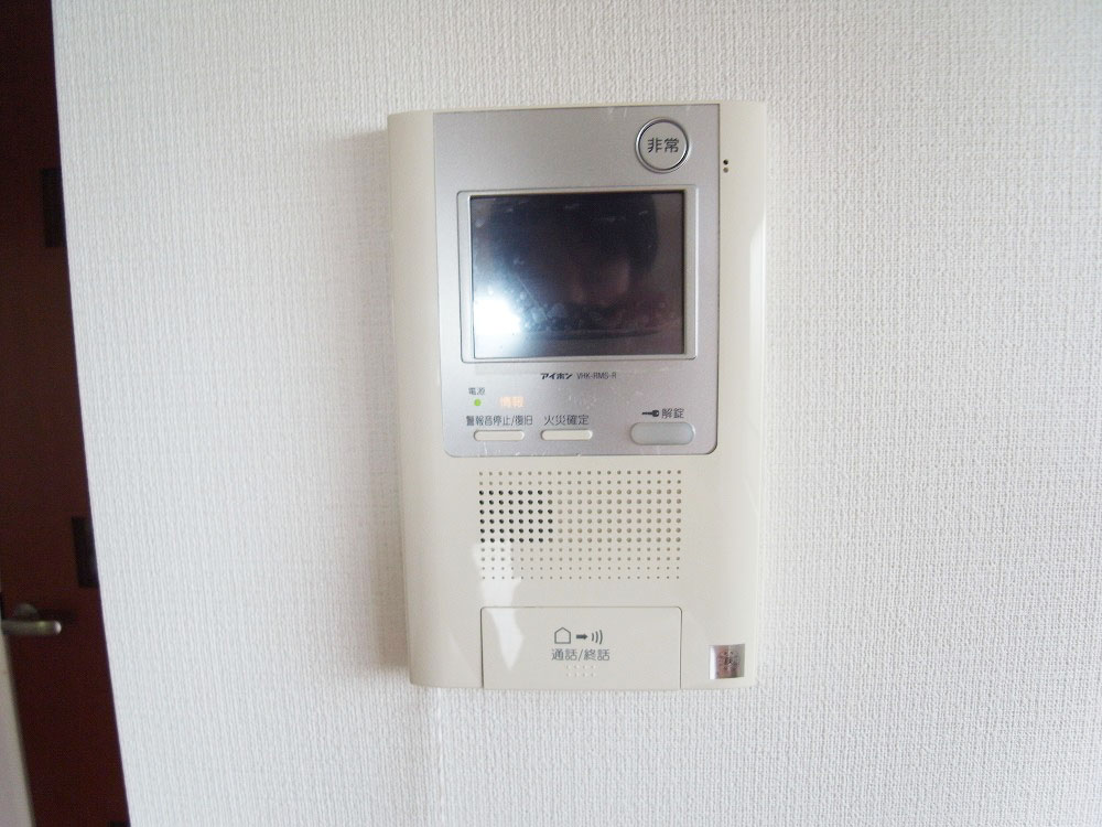 Security. TV monitor phone