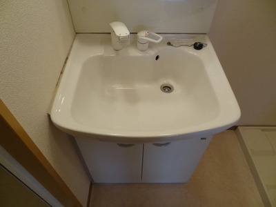 Washroom. Shampoo dresser