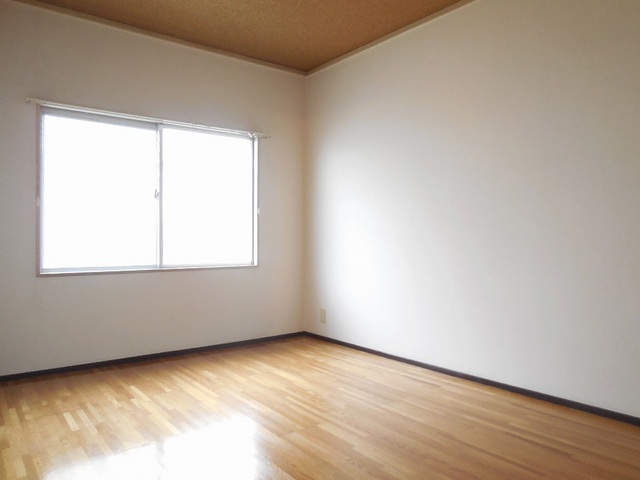 Other room space. Western style room