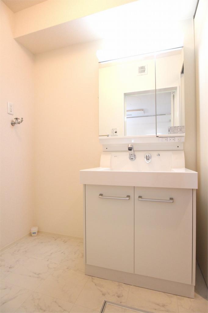 Washroom. Shampoo dresser