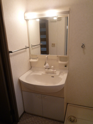 Washroom. Wash basin