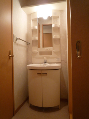 Washroom. Wash basin