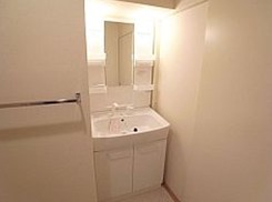 Washroom. Shampoo dresser