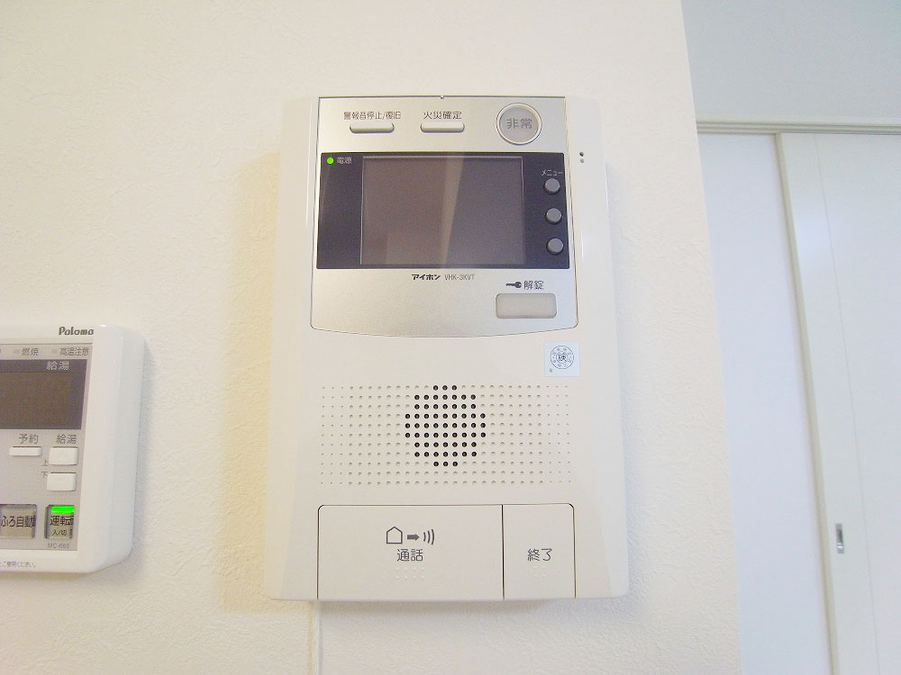 Security. TV monitor phone