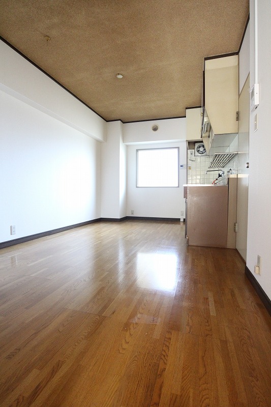 Living and room. Living