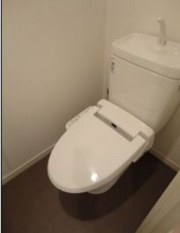 Other room space. There are shower toilet cleanliness