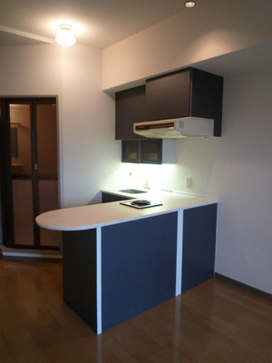 Kitchen. Counter Kitchen