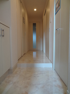 Entrance. Entrance hall