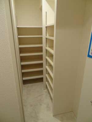 Entrance. Shoes-in closet